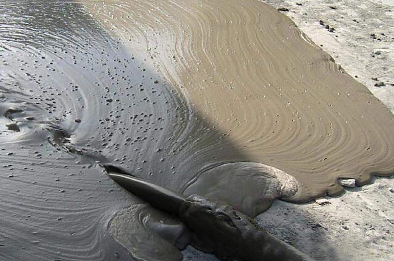 精品機(jī)制砂調(diào)配的混凝土 精品機(jī)制砂調(diào)配的混凝土